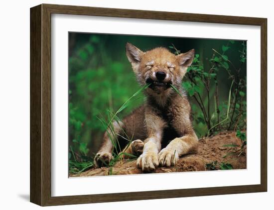 Simple Pleasures-Art Wolfe-Framed Art Print