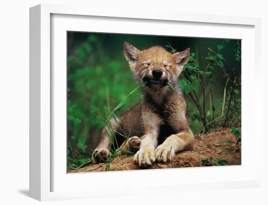 Simple Pleasures-Art Wolfe-Framed Art Print