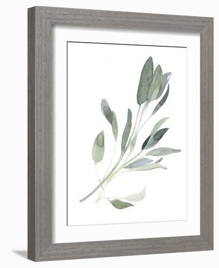 Simple Sage I-Emma Scarvey-Framed Art Print