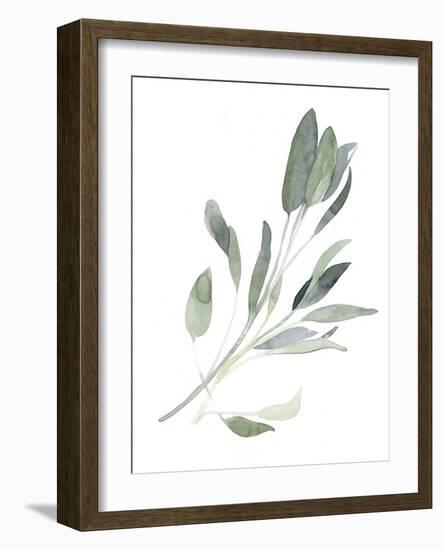 Simple Sage I-Emma Scarvey-Framed Art Print