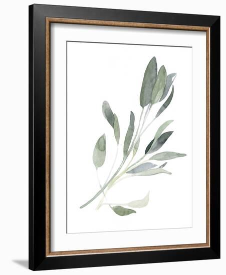 Simple Sage I-Emma Scarvey-Framed Art Print