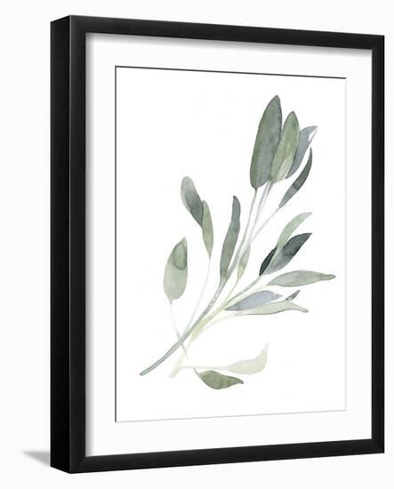 Simple Sage I-Emma Scarvey-Framed Art Print