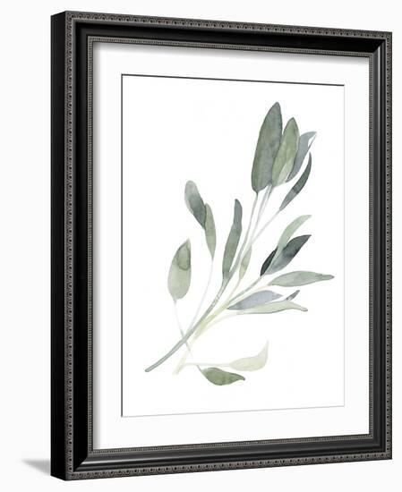 Simple Sage I-Emma Scarvey-Framed Art Print