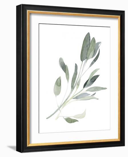 Simple Sage I-Emma Scarvey-Framed Art Print