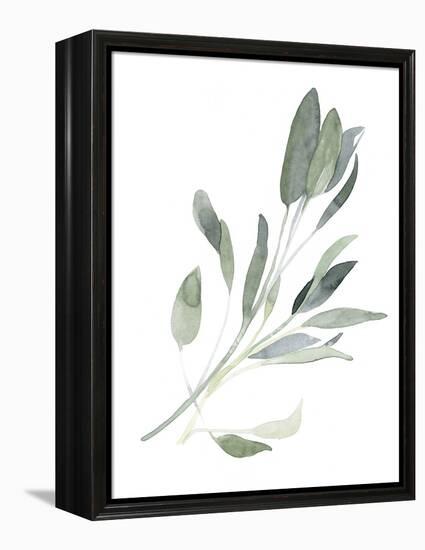 Simple Sage I-Emma Scarvey-Framed Stretched Canvas