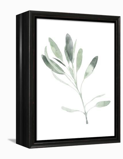 Simple Sage II-Emma Scarvey-Framed Stretched Canvas