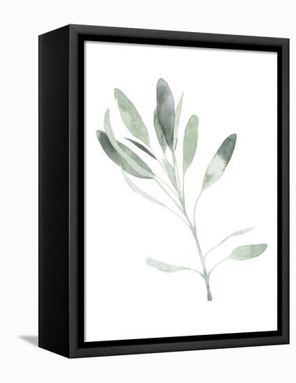 Simple Sage II-Emma Scarvey-Framed Stretched Canvas