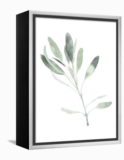 Simple Sage II-Emma Scarvey-Framed Stretched Canvas