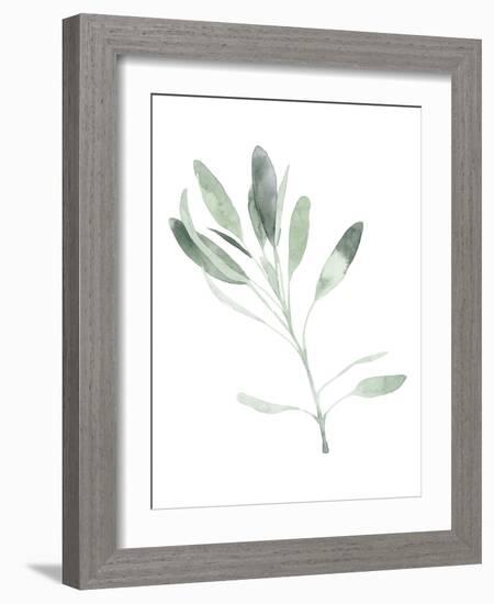 Simple Sage II-Emma Scarvey-Framed Art Print