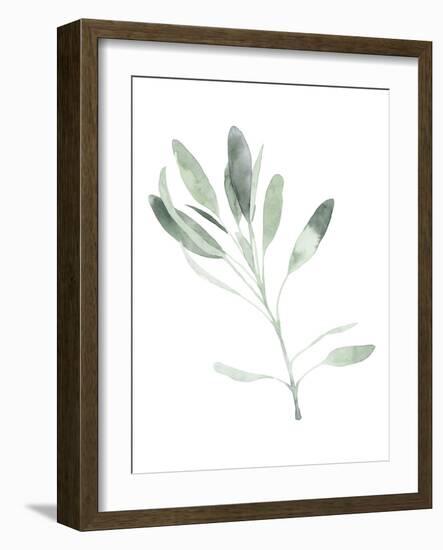 Simple Sage II-Emma Scarvey-Framed Art Print