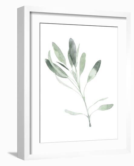 Simple Sage II-Emma Scarvey-Framed Art Print