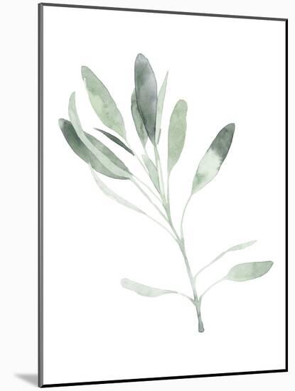 Simple Sage II-Emma Scarvey-Mounted Art Print