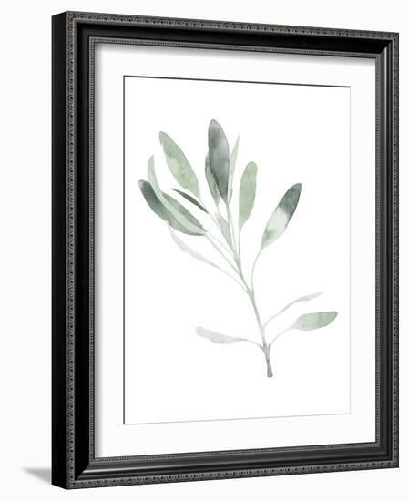 Simple Sage II-Emma Scarvey-Framed Art Print