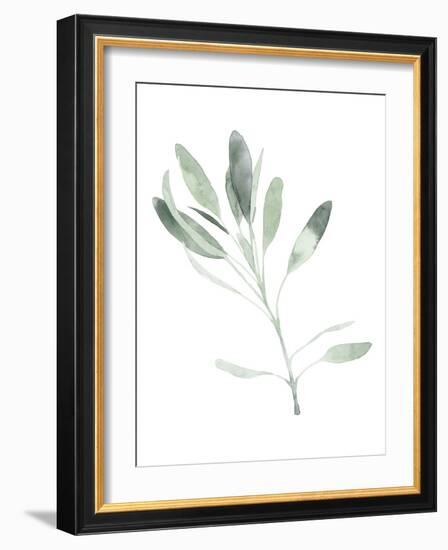 Simple Sage II-Emma Scarvey-Framed Art Print