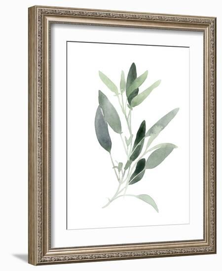 Simple Sage III-Emma Scarvey-Framed Art Print