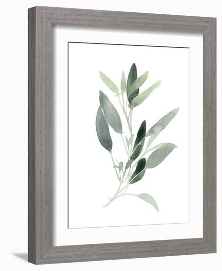 Simple Sage III-Emma Scarvey-Framed Art Print