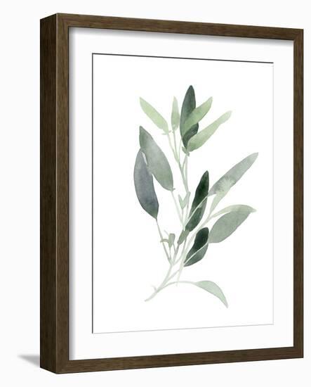 Simple Sage III-Emma Scarvey-Framed Art Print