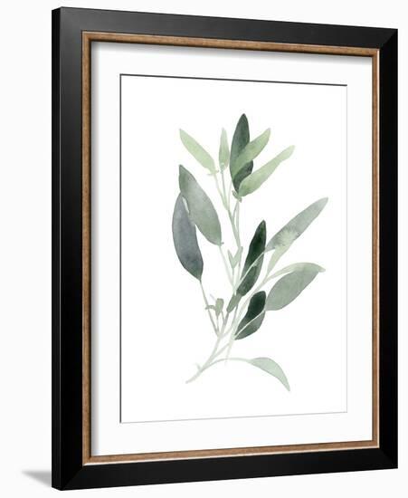 Simple Sage III-Emma Scarvey-Framed Art Print