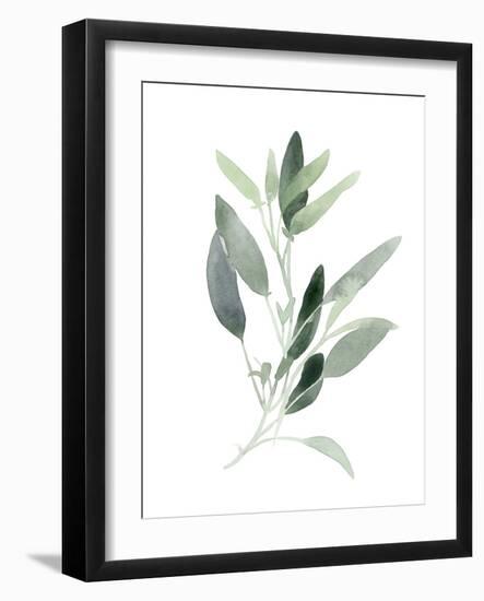 Simple Sage III-Emma Scarvey-Framed Art Print