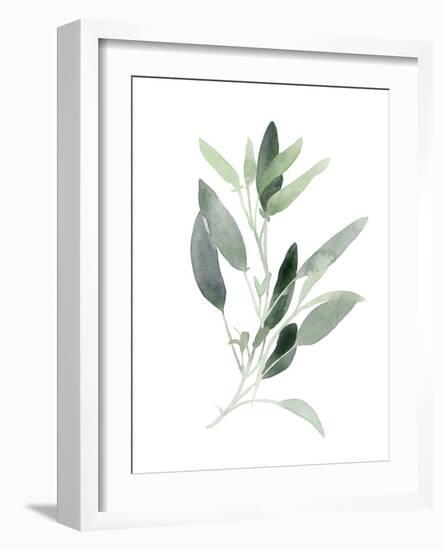 Simple Sage III-Emma Scarvey-Framed Art Print