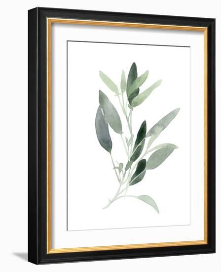 Simple Sage III-Emma Scarvey-Framed Art Print