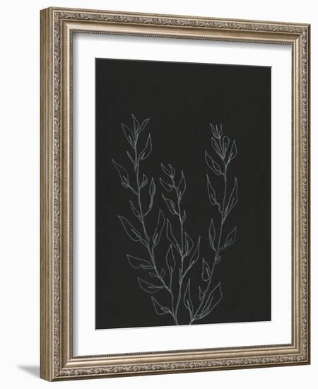 Simple Stalk II-Regina Moore-Framed Art Print