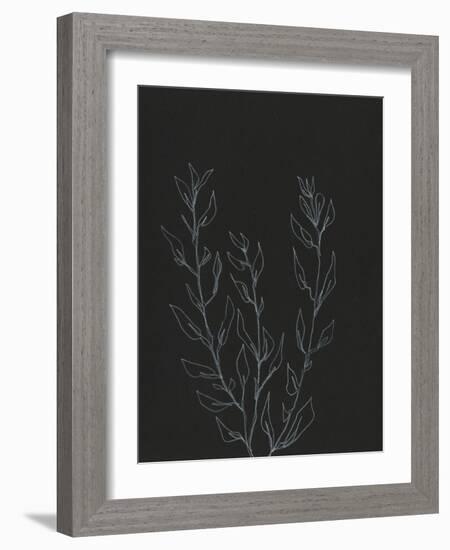 Simple Stalk II-Regina Moore-Framed Art Print