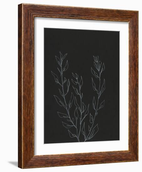 Simple Stalk II-Regina Moore-Framed Art Print