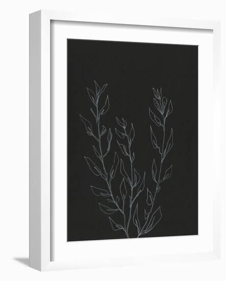 Simple Stalk II-Regina Moore-Framed Art Print