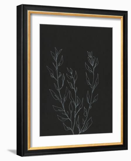 Simple Stalk II-Regina Moore-Framed Art Print