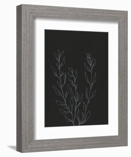 Simple Stalk II-Regina Moore-Framed Premium Giclee Print