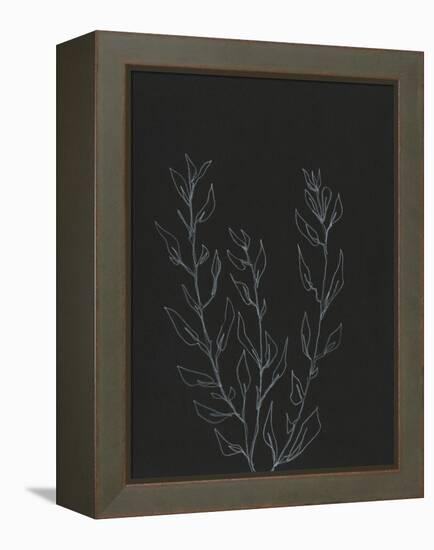 Simple Stalk II-Regina Moore-Framed Stretched Canvas
