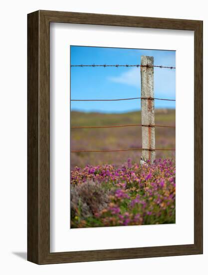 Simplicity-Philippe Sainte-Laudy-Framed Photographic Print