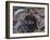 Simplon Pass: The Lesson-John Singer Sargent-Framed Giclee Print