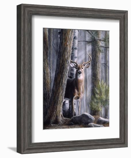 Simply Curious II-Kevin Daniel-Framed Art Print