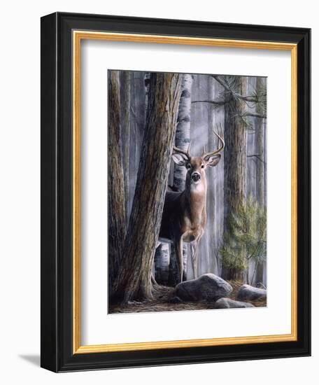 Simply Curious II-Kevin Daniel-Framed Art Print