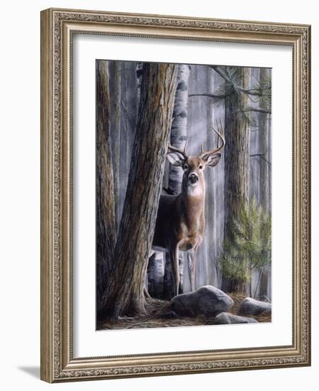 Simply Curious II-Kevin Daniel-Framed Art Print