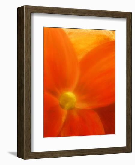 Simply Elegant-Ruth Palmer 2-Framed Art Print