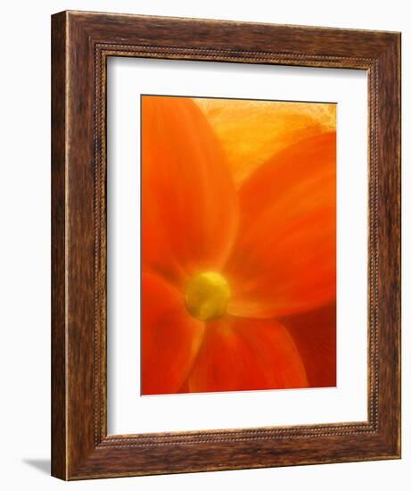 Simply Elegant-Ruth Palmer 2-Framed Art Print