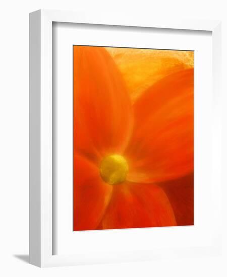 Simply Elegant-Ruth Palmer 2-Framed Art Print