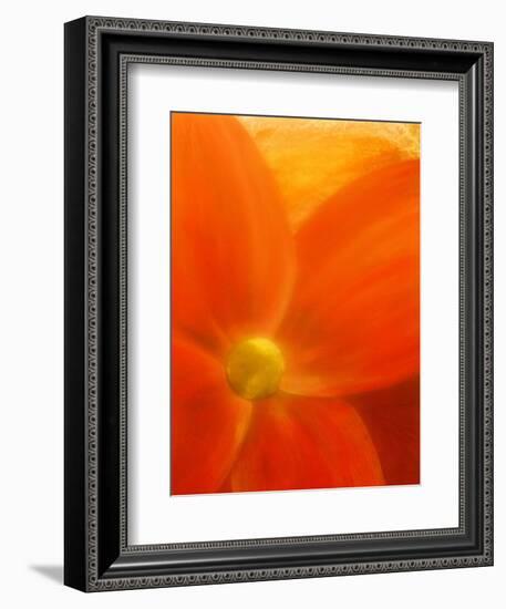 Simply Elegant-Ruth Palmer 2-Framed Art Print