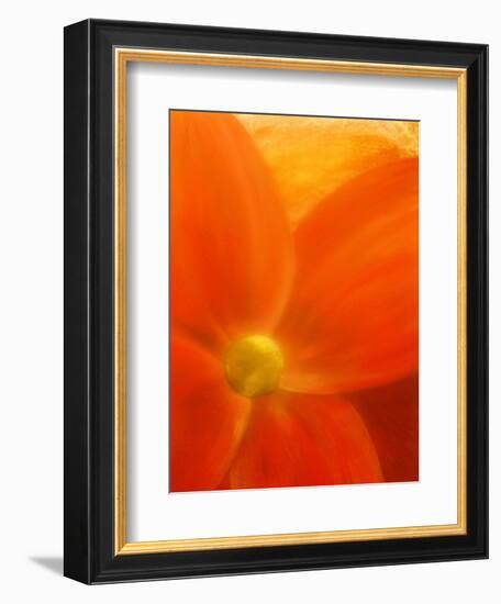 Simply Elegant-Ruth Palmer 2-Framed Art Print