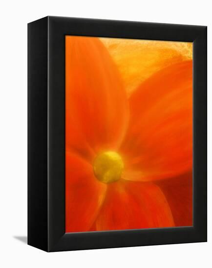 Simply Elegant-Ruth Palmer 2-Framed Stretched Canvas