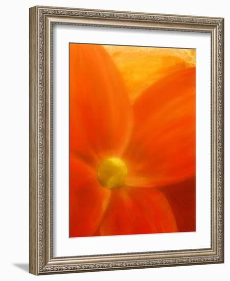 Simply Elegant-Ruth Palmer 2-Framed Art Print