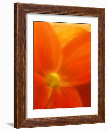 Simply Elegant-Ruth Palmer 2-Framed Art Print