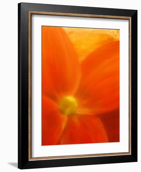 Simply Elegant-Ruth Palmer 2-Framed Art Print