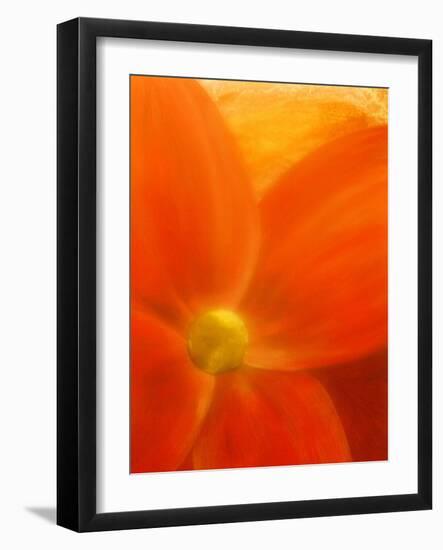 Simply Elegant-Ruth Palmer 2-Framed Art Print