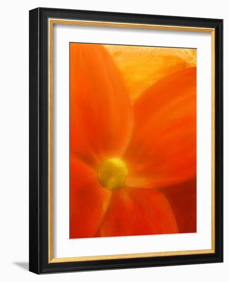 Simply Elegant-Ruth Palmer 2-Framed Art Print