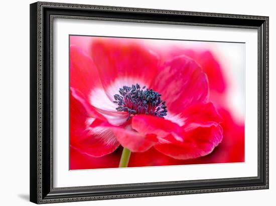 Simply Red-Jacky Parker-Framed Giclee Print