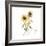 Simply Seeds I-Nan Rae-Framed Art Print